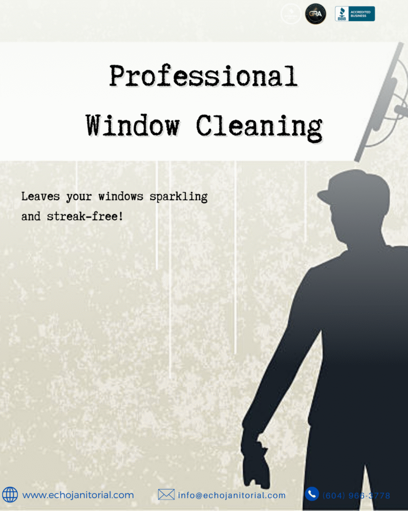 Professional Window Cleaning